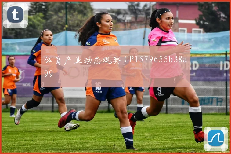 体育产业动态观察 CP1579655b38a99