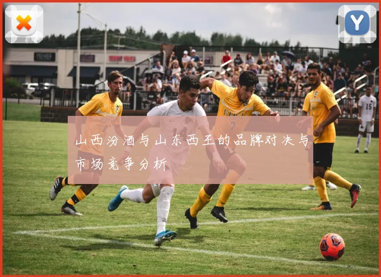 山西汾酒与山东西王的品牌对决与市场竞争分析