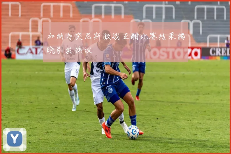 加纳与突尼斯激战正酣比赛结果揭晓引发热议