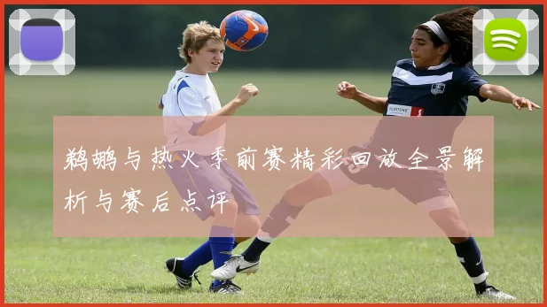 鹈鹕与热火季前赛精彩回放全景解析与赛后点评