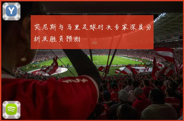 突尼斯与马里足球对决专家深度分析及胜负预测