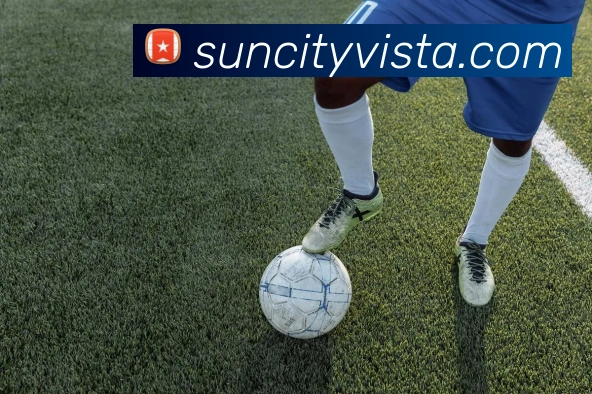 太阳城娱乐服务体系